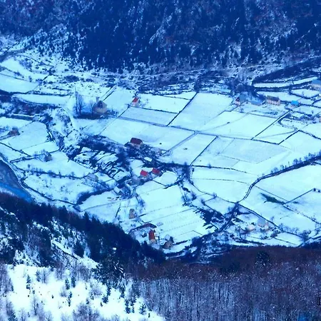 Bujtina Polia