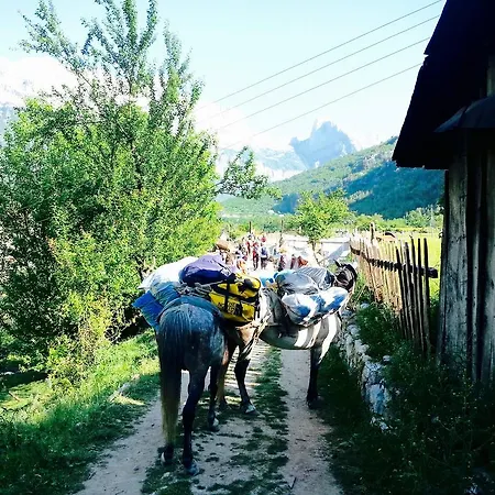 Bujtina Polia * Theth