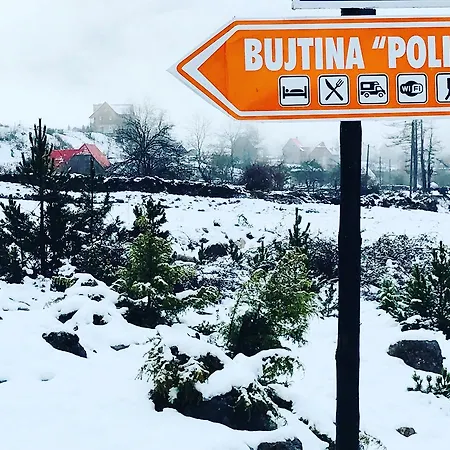 Bujtina Polia *