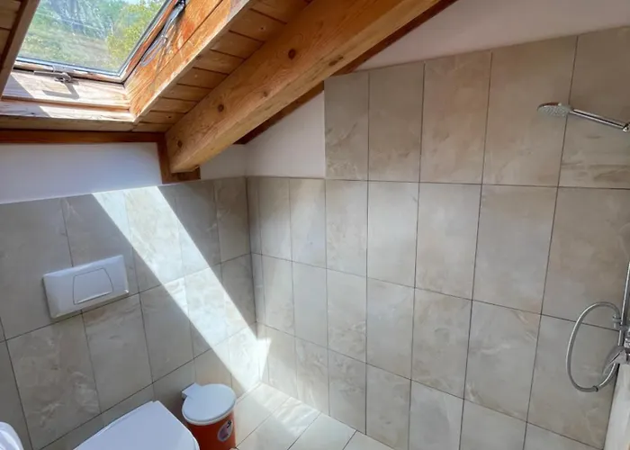 Bujtina Polia * 泰斯