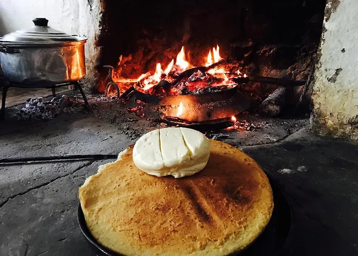 Bujtina Polia 农家乐