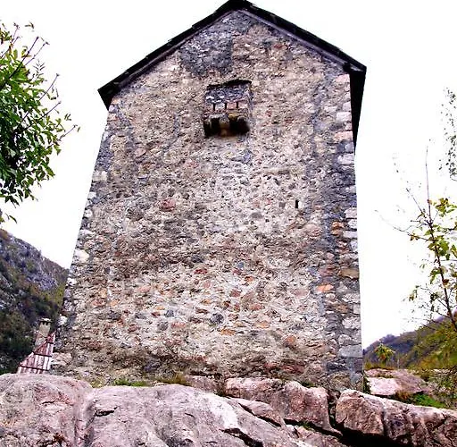 Bujtina Polia * 泰斯