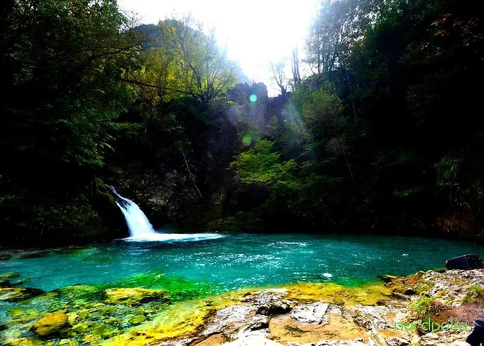 Bujtina Polia 农家乐 泰斯