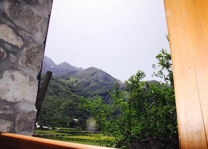 Bujtina Polia * 泰斯