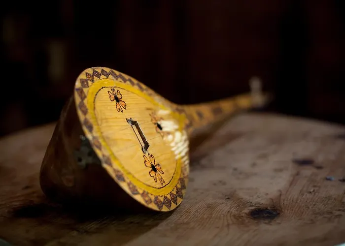 农家乐 Bujtina Polia *