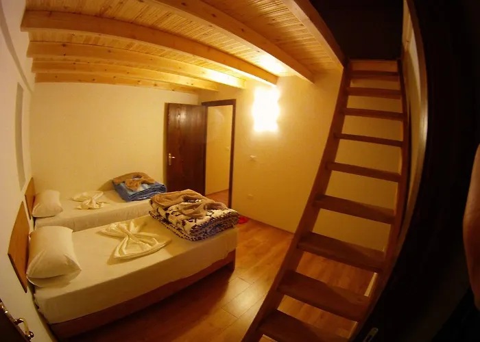 Bujtina Polia * 泰斯