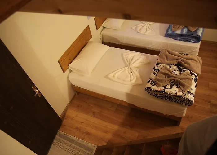 Bujtina Polia 农家乐 泰斯