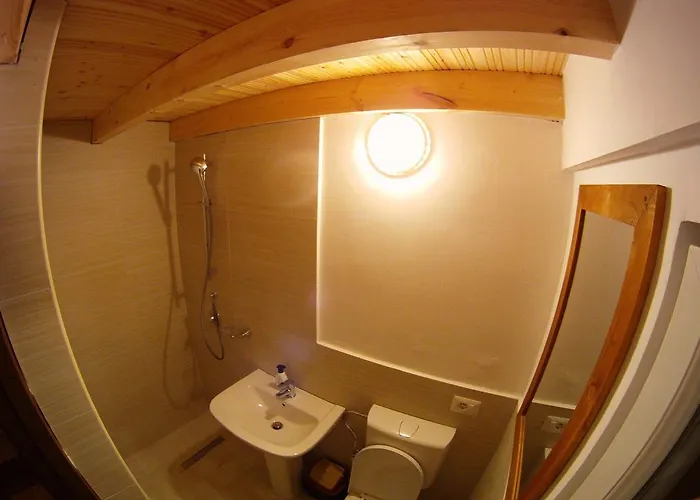 Bujtina Polia 农家乐 泰斯