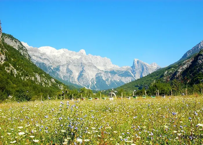 Bujtina Polia 农家乐 *