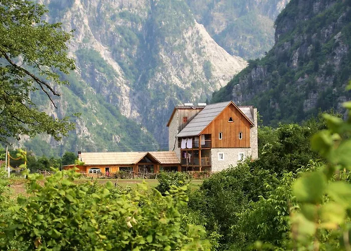 Bujtina Polia * 泰斯