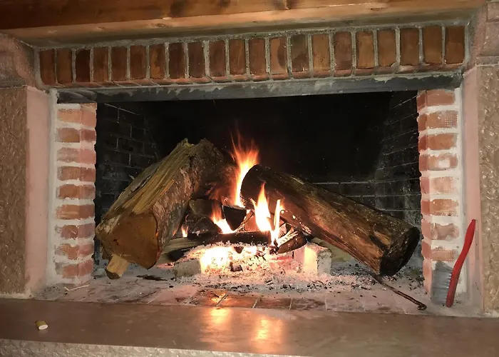 Bujtina Polia 农家乐 泰斯