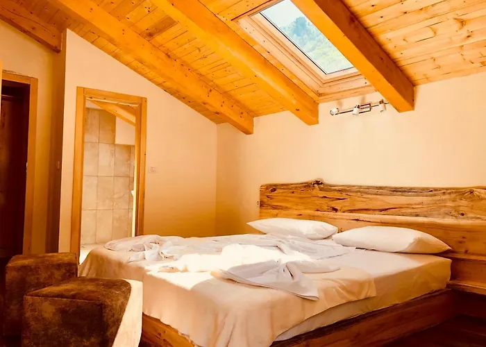 农家乐 Bujtina Polia