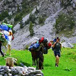 Bujtina Polia *