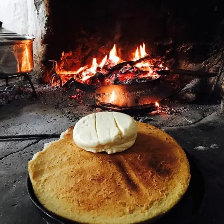 Bujtina Polia Κατάλυμα σε φάρμα