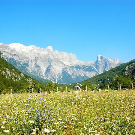 Bujtina Polia Farm stay *