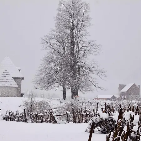 Bujtina Polia Alloggio per agriturismo Theth