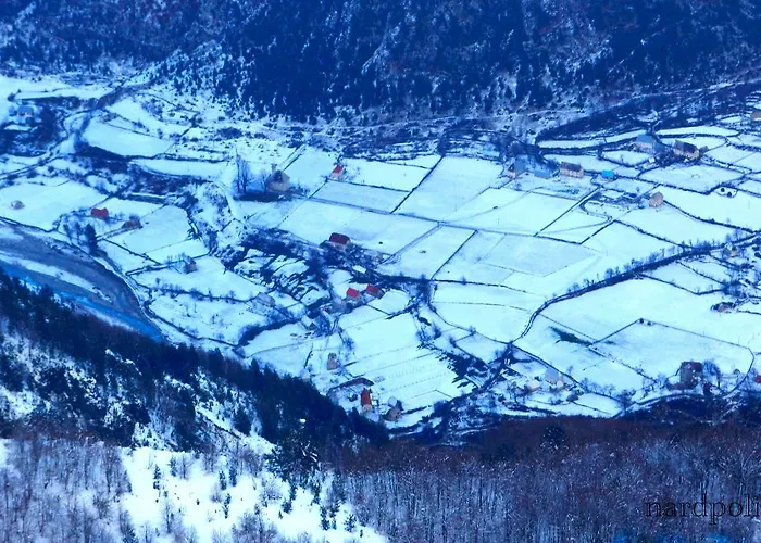 Bujtina Polia