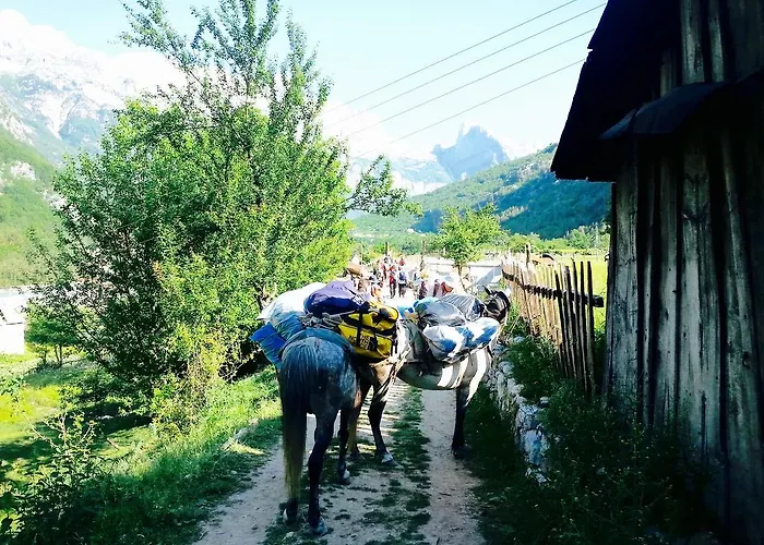 Bujtina Polia * Theth
