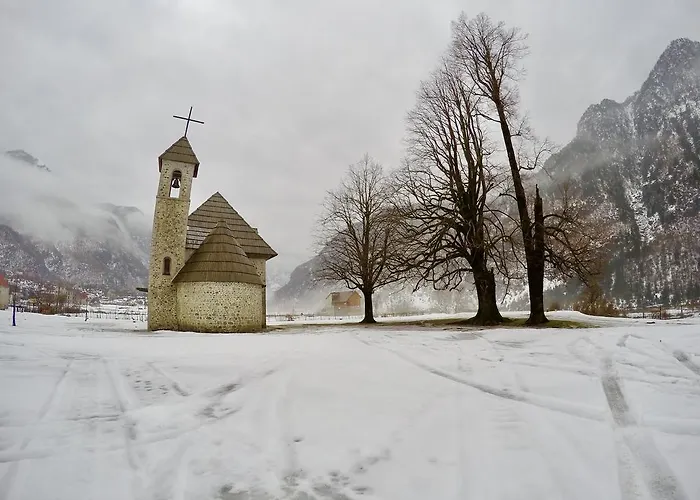 Bujtina Polia